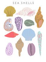 Sea shells