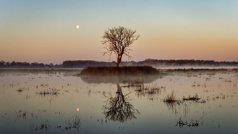 Moon above Kloosterveld by Anneke Hooijer