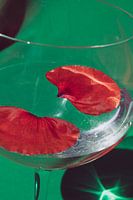 Feuilles de pavot dans le verre