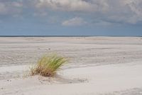 Eenzaam op het strand