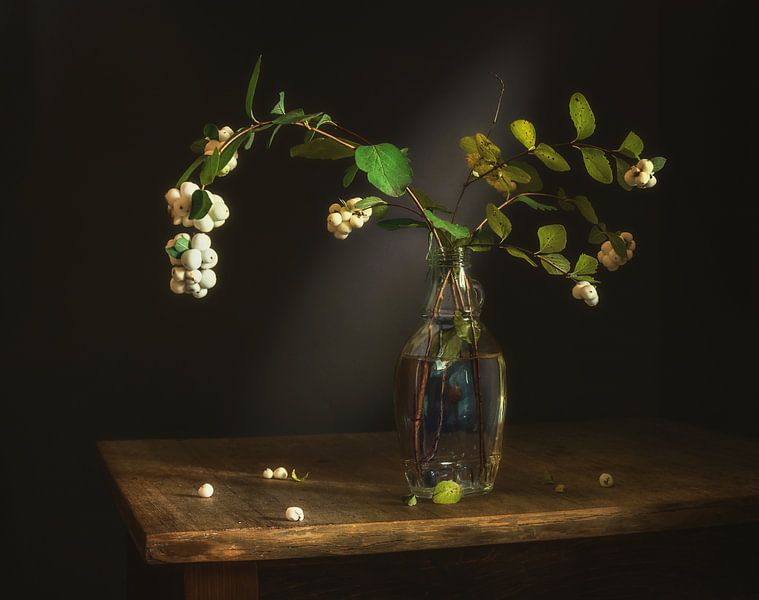 still life with snow berries by Mykhailo Sherman