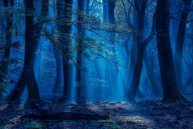 Am Solschen Loch von Herman de Raaf