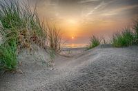 a Lovely orange Sunset