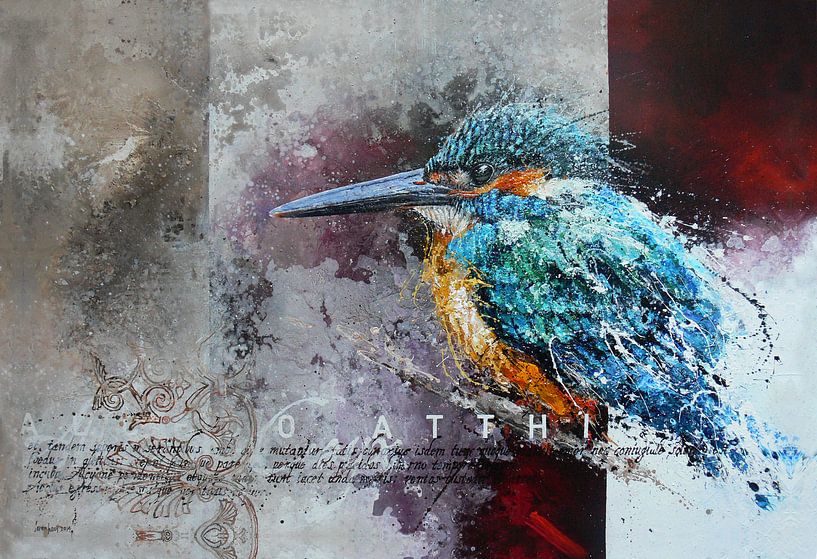 Martin-pêcheur par Peter van Loenhout