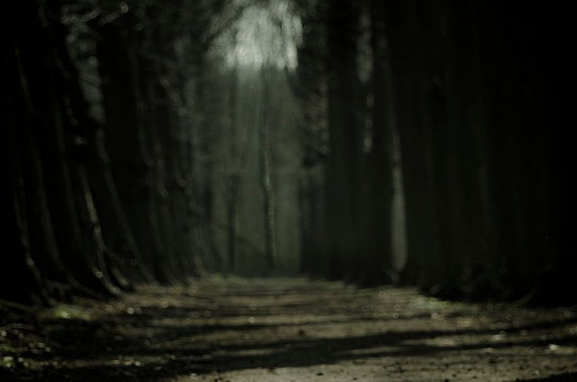 Savoir où aller par Dick Nieswaag