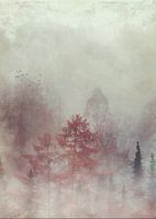 Arbres dans le brouillard