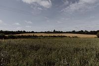 Vues dans le Lot, France