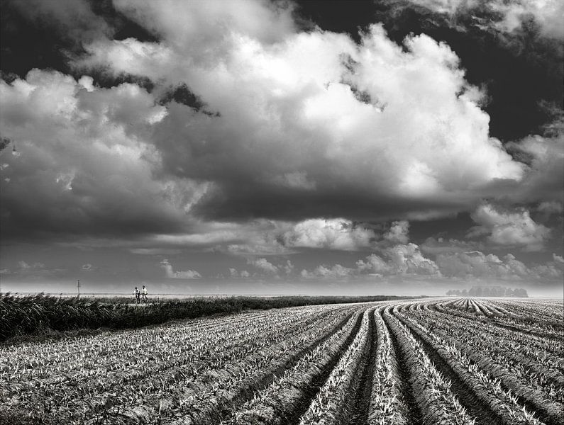 IN THE OPEN von Frank Brand