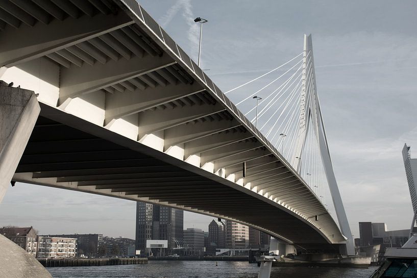 Erasmusbrug Rotterdam by Tim Vlielander