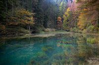 Source de la rivière Dobra