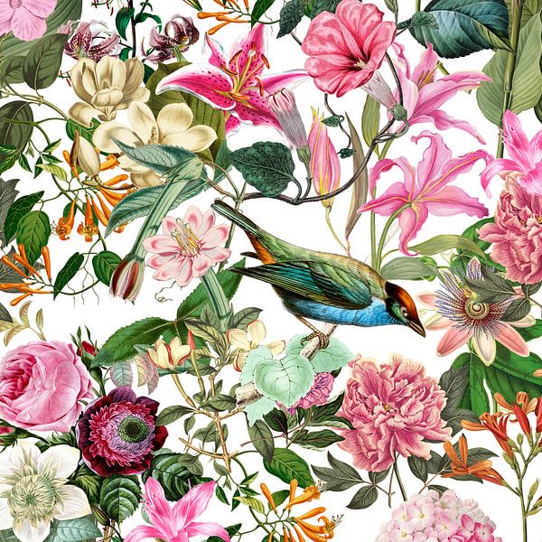 Sommergarten von Andrea Haase