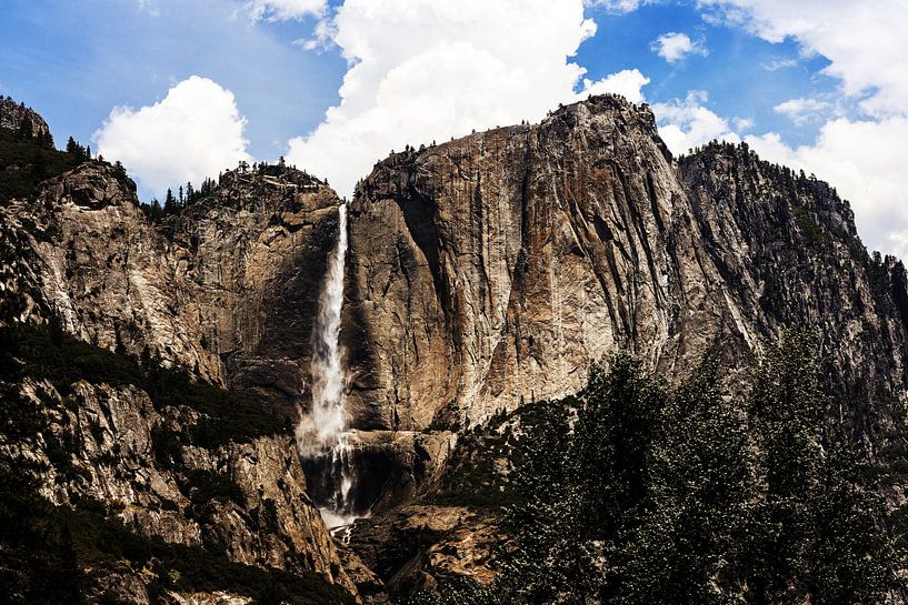 Yosemite National Park Stream by Walljar
