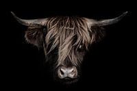 Highlander écossais sur fond sombre