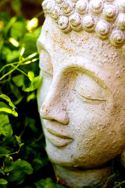 Boeddha von Vincent Vagevuur