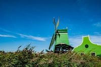 Hollandse Molens Zaanse Schans