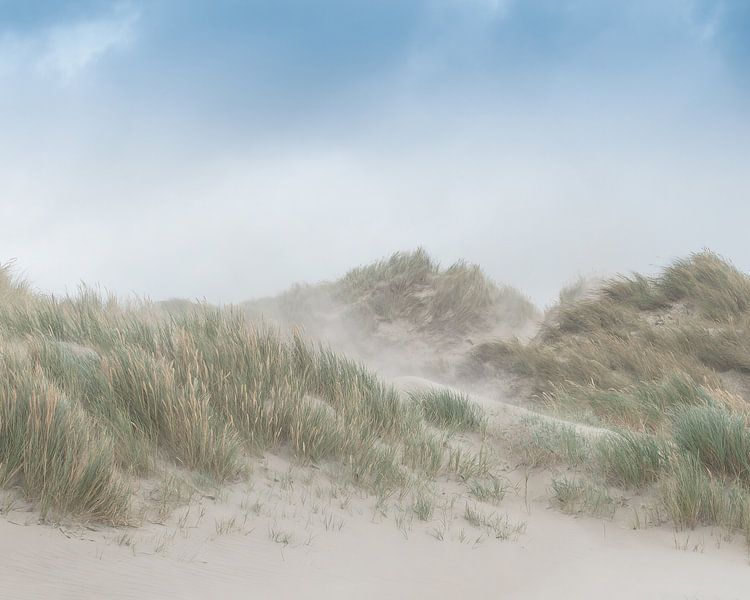 Dune de tempête par Orangefield-images