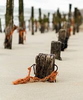 Stranded on the beach