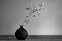 Judas penny black and white