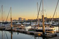 Yerseke, jachthaven en dorp,  met ondergaande zon