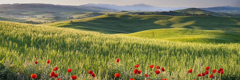 Val d&#039;Orcia, Toscane par Walter G. Allgöwer