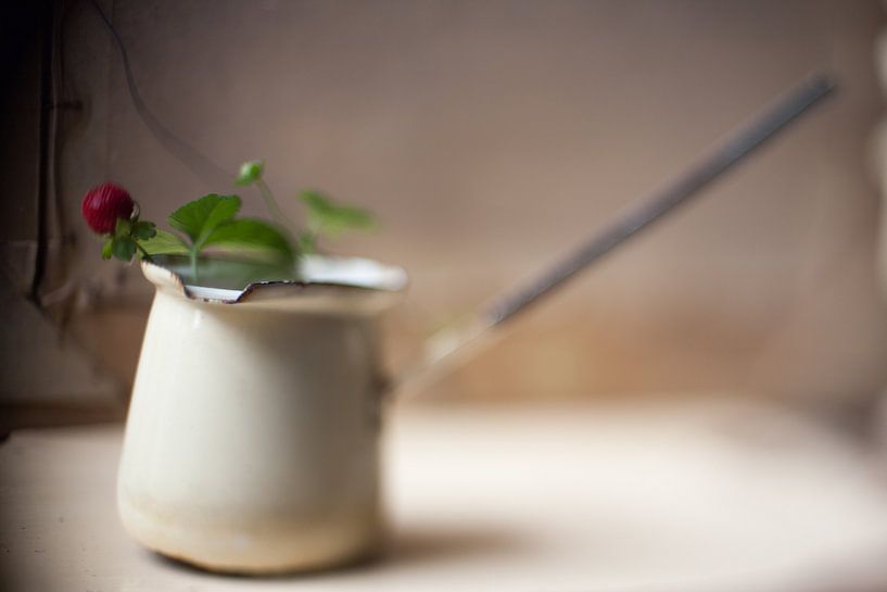 Milch und Honig von Diane Cruysberghs