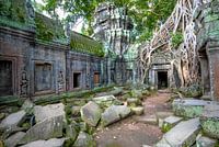 Ta Prohm tempel, Angkor Wat