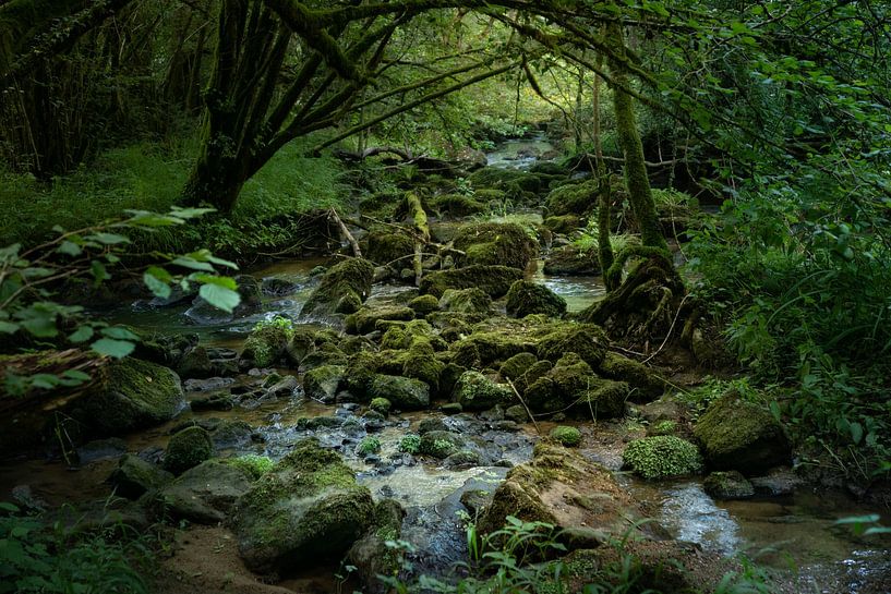 Das Orne-Tal (Normandie) von Ron Poot