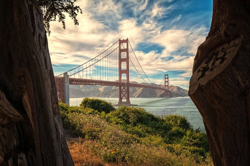 Golden Gate umrahmt von Zypressen, San Francisco, USA von Aloke Design