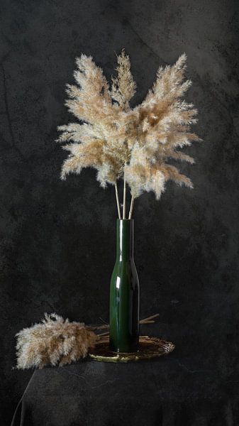 Still life with feathers by Danny den Breejen