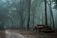 An einem Oktobermorgen.....