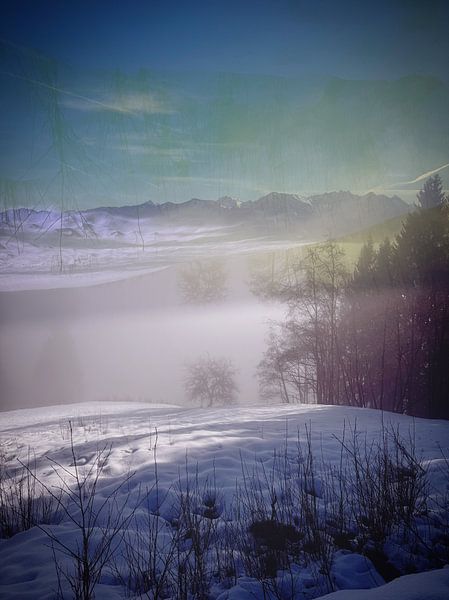 Lumière d'Obheit par Maximiliane Wittek