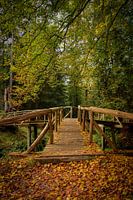 Autumn bridge, Groningen