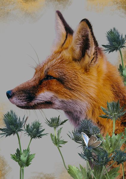 Renard avec bord doré par Postergirls