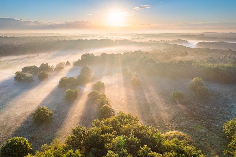 Sonnenaufgang im Nationalpark Drentsche Aa von Droninger