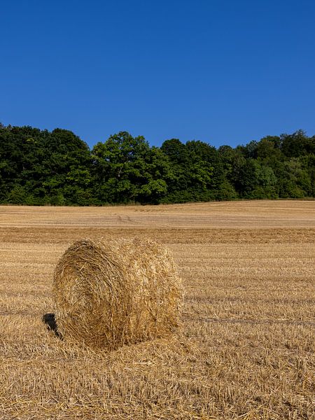 Heuballen auf einem Feld von Teresa Bauer