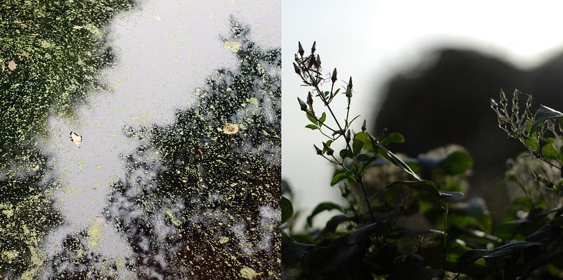 Tweeluik Water en Land: Amsterdam, 04 von Anne Hana