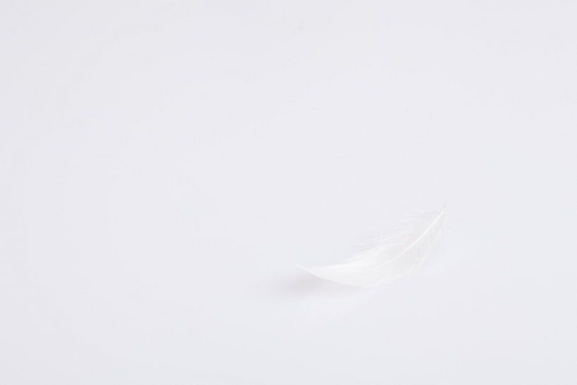 Vederlicht von Catching Moments