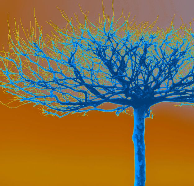 Naturschönheit - modern von Kirsten Warner