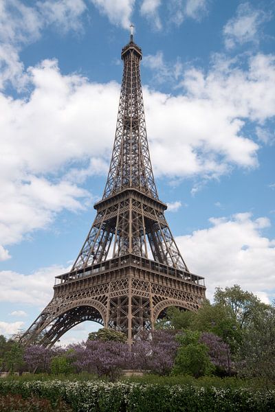 Eiffel Tower by Peter Apers