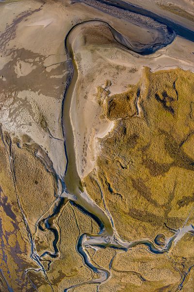 Ader - &quot;Ader&quot; von Texel360Fotografie Richard Heerschap