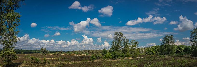 Den Treek von Vincent van den Hurk