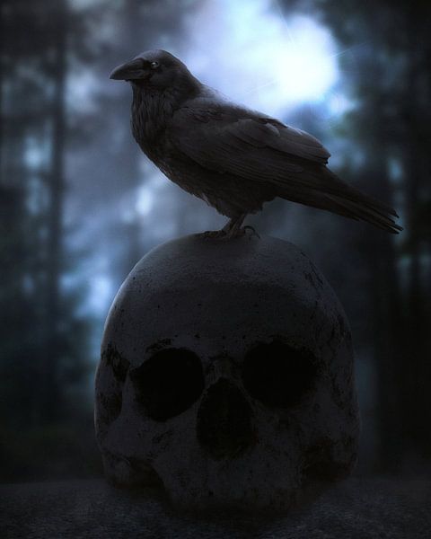 Komm zu uns von Alexander Tropmann