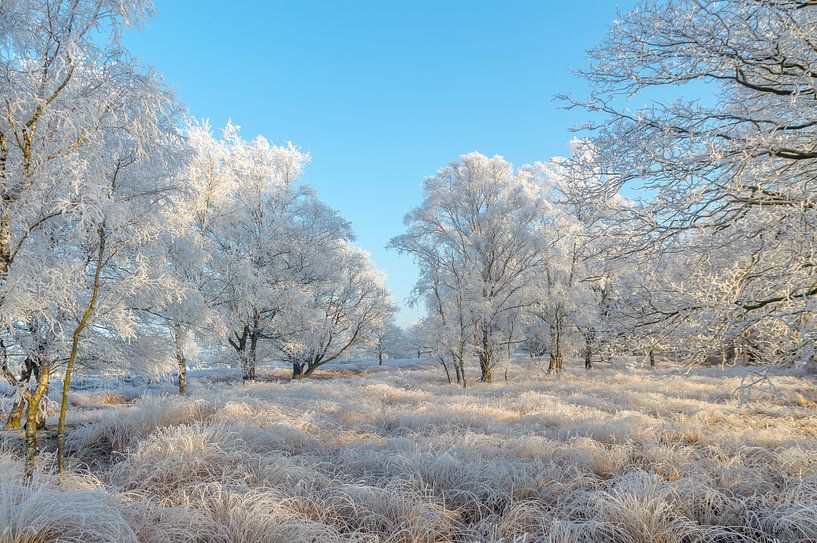 winterlandschap by eric brouwer