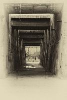 Von Licht ins Dunkle