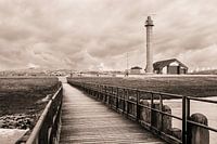 Scaffolding Westkapelle