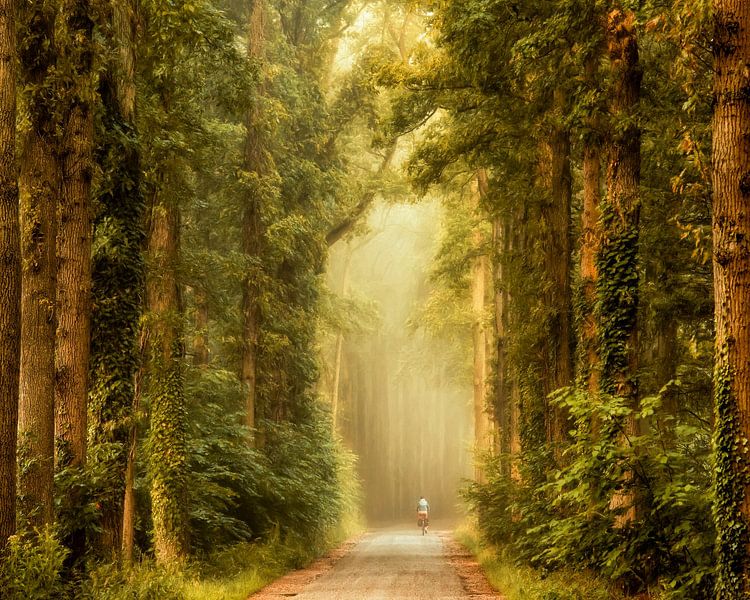 La Cathedrale Naturelle III par Lars van de Goor