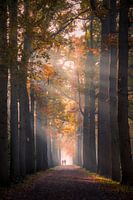 Herbstlicher Spaziergang