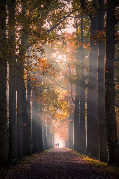 Herbstlicher Spaziergang von Mark Bonnenberg
