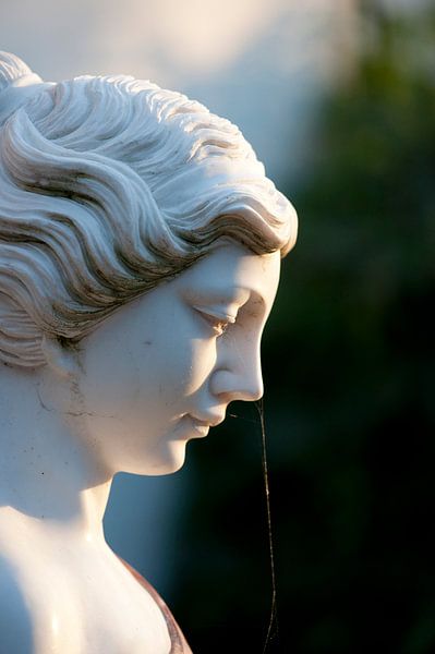 Dame by Jaap Lagendijk