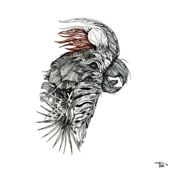 Créatures de la forêt : Cockatree par Ilse Schrauwers, isontwerp.nl